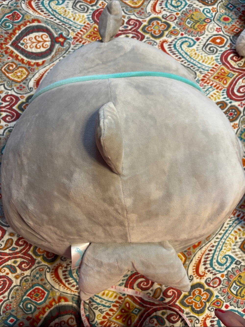 Squishmallow large Gray and Cream Plush Shark Pillow with Teal Trim around mask - Picture 5 of 11